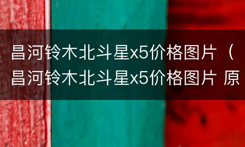 昌河铃木北斗星x5价格图片（昌河铃木北斗星x5价格图片 原装）