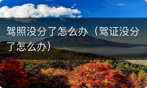 驾照没分了怎么办（驾证没分了怎么办）