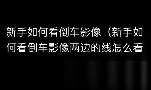 新手如何看倒车影像（新手如何看倒车影像两边的线怎么看）