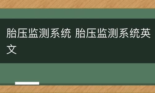 胎压监测系统 胎压监测系统英文