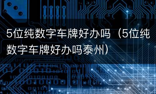 5位纯数字车牌好办吗（5位纯数字车牌好办吗泰州）