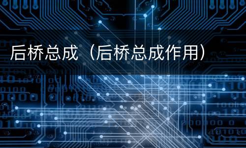 后桥总成（后桥总成作用）