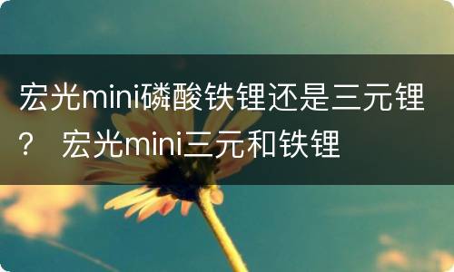 宏光mini磷酸铁锂还是三元锂？ 宏光mini三元和铁锂