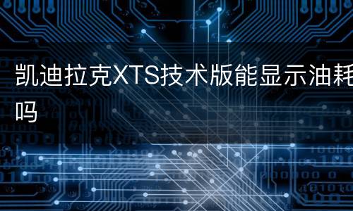 凯迪拉克XTS技术版能显示油耗吗