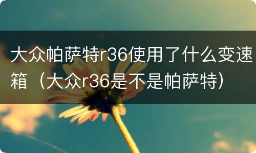大众帕萨特r36使用了什么变速箱（大众r36是不是帕萨特）