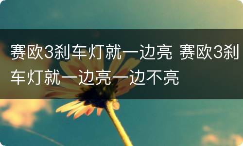 赛欧3刹车灯就一边亮 赛欧3刹车灯就一边亮一边不亮