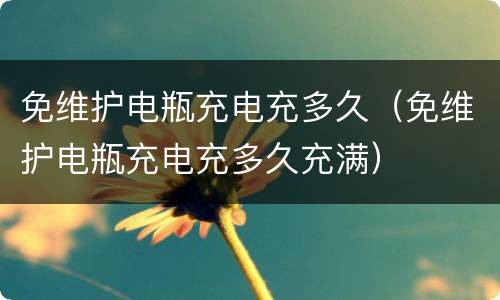 免维护电瓶充电充多久（免维护电瓶充电充多久充满）