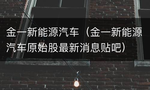 金一新能源汽车（金一新能源汽车原始股最新消息贴吧）