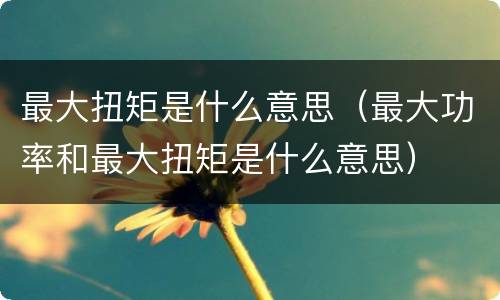 最大扭矩是什么意思（最大功率和最大扭矩是什么意思）