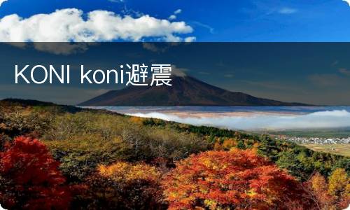 KONI koni避震