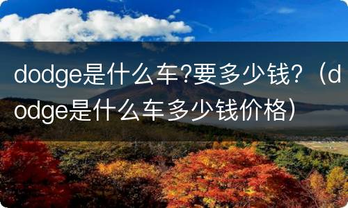 dodge是什么车?要多少钱?（dodge是什么车多少钱价格）