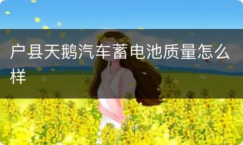 户县天鹅汽车蓄电池质量怎么样
