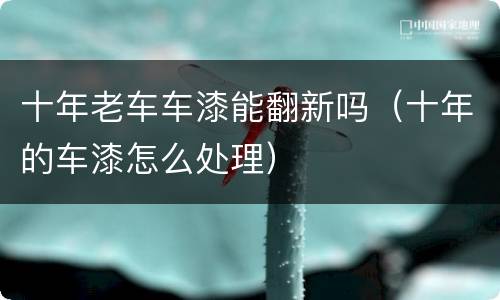 十年老车车漆能翻新吗（十年的车漆怎么处理）