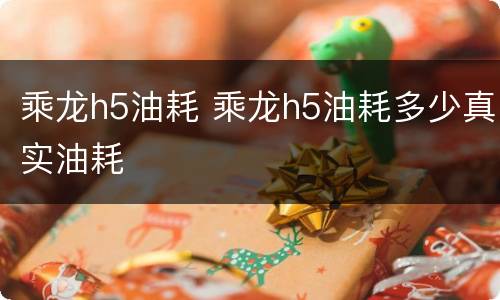 乘龙h5油耗 乘龙h5油耗多少真实油耗