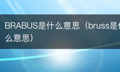 BRABUS是什么意思（bruss是什么意思）