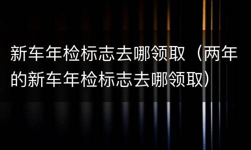 新车年检标志去哪领取（两年的新车年检标志去哪领取）