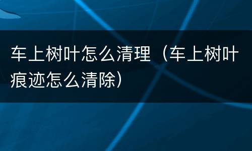 车上树叶怎么清理（车上树叶痕迹怎么清除）