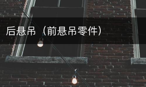 后悬吊（前悬吊零件）