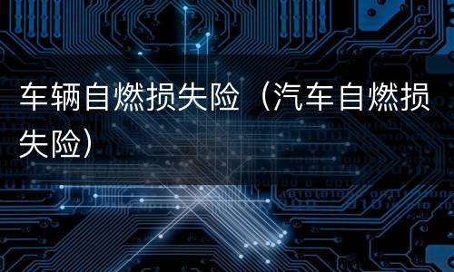 车辆自燃损失险（汽车自燃损失险）
