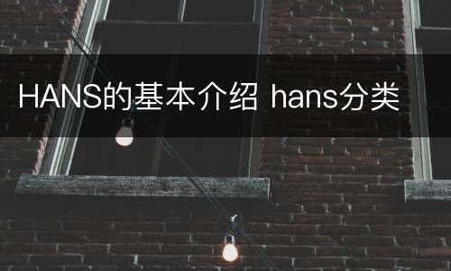 HANS的基本介绍 hans分类