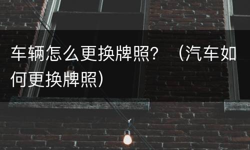 车辆怎么更换牌照？（汽车如何更换牌照）