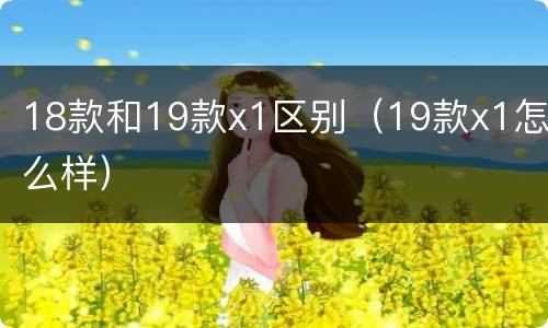 18款和19款x1区别（19款x1怎么样）