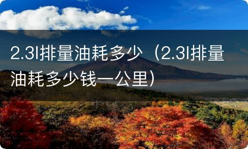 2.3l排量油耗多少（2.3l排量油耗多少钱一公里）