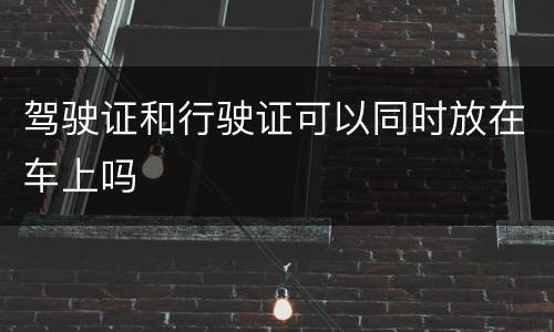 驾驶证和行驶证可以同时放在车上吗