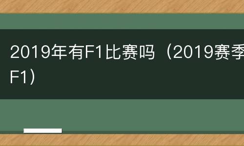 2019年有F1比赛吗（2019赛季F1）