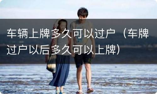 车辆上牌多久可以过户（车牌过户以后多久可以上牌）