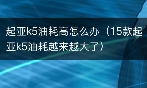 起亚k5油耗高怎么办（15款起亚k5油耗越来越大了）