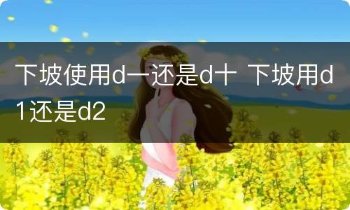 下坡使用d一还是d十 下坡用d1还是d2