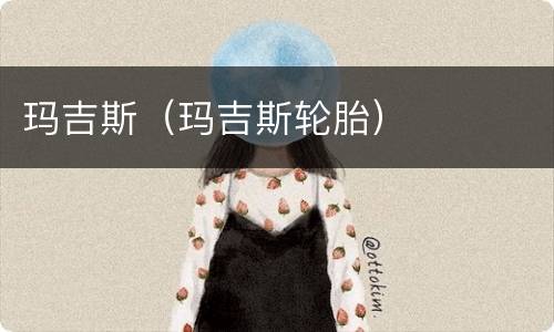 玛吉斯（玛吉斯轮胎）