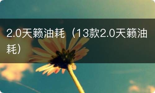 2.0天籁油耗（13款2.0天籁油耗）