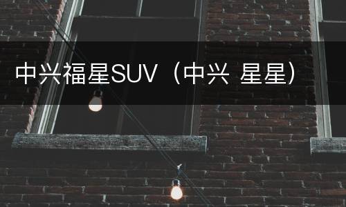 中兴福星SUV（中兴 星星）