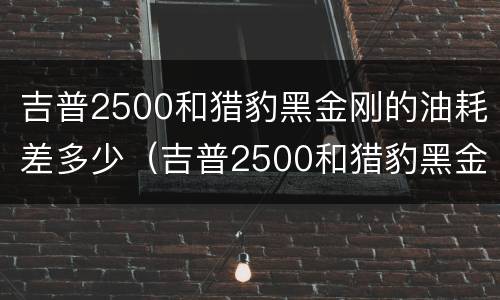 吉普2500和猎豹黑金刚的油耗差多少（吉普2500和猎豹黑金刚的油耗差多少呢）