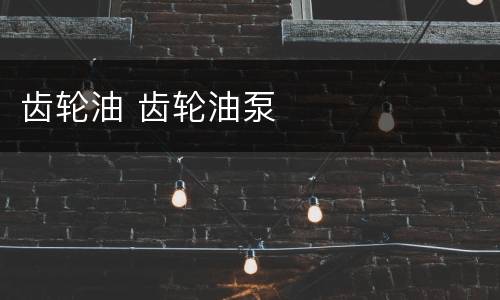 齿轮油 齿轮油泵