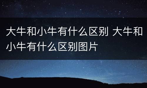 大牛和小牛有什么区别 大牛和小牛有什么区别图片