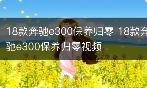 18款奔驰e300保养归零 18款奔驰e300保养归零视频
