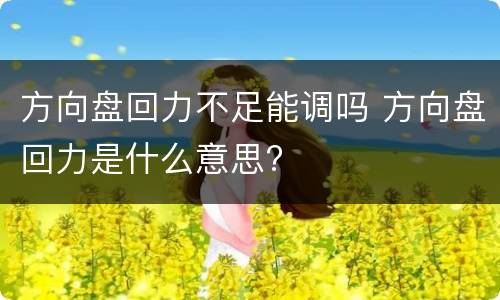 方向盘回力不足能调吗 方向盘回力是什么意思?