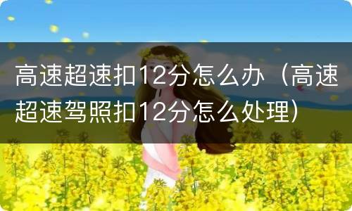高速超速扣12分怎么办（高速超速驾照扣12分怎么处理）