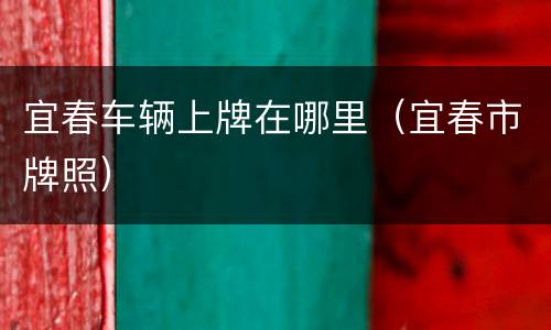 宜春车辆上牌在哪里（宜春市牌照）