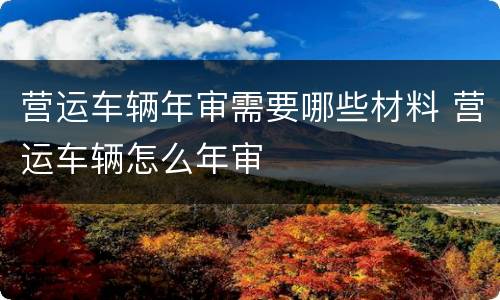 营运车辆年审需要哪些材料 营运车辆怎么年审