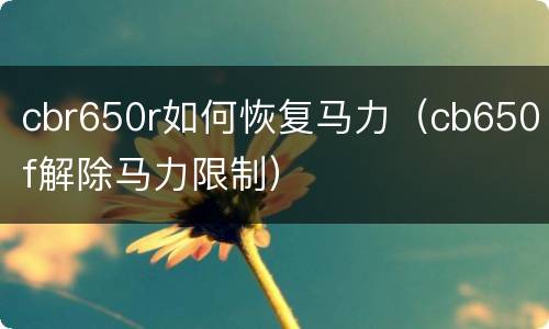 cbr650r如何恢复马力（cb650f解除马力限制）