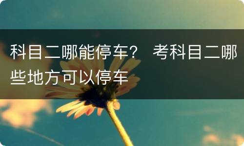 科目二哪能停车？ 考科目二哪些地方可以停车