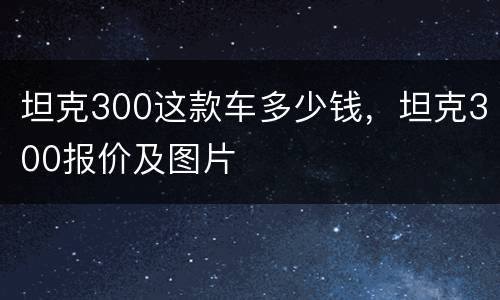 坦克300这款车多少钱，坦克300报价及图片