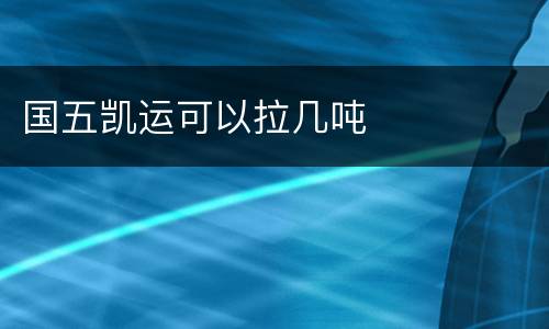 国五凯运可以拉几吨