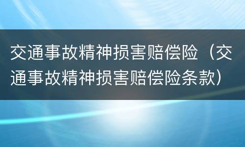 交通事故精神损害赔偿险（交通事故精神损害赔偿险条款）