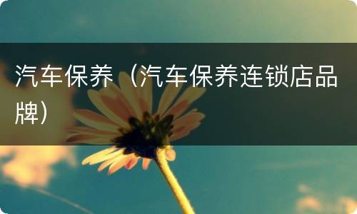 汽车保养（汽车保养连锁店品牌）
