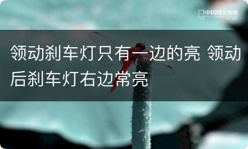 领动刹车灯只有一边的亮 领动后刹车灯右边常亮
